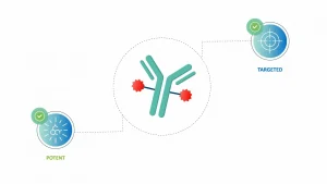 Preview of antibody drug conjugates (ADCs) - The magic bullets animation