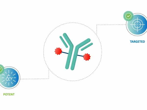 Preview of antibody drug conjugates (ADCs) - The magic bullets animation