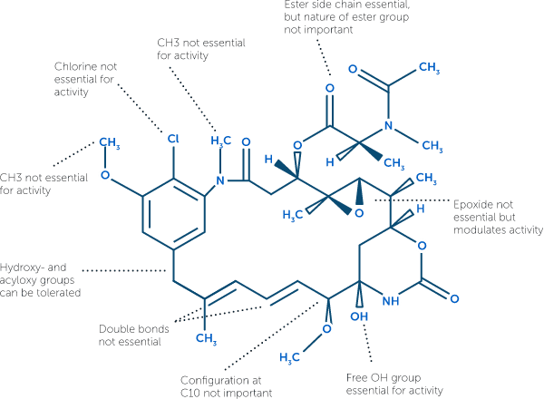 maytansinoids properties