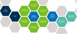 API development process showing integrated solid form investigations elements.
